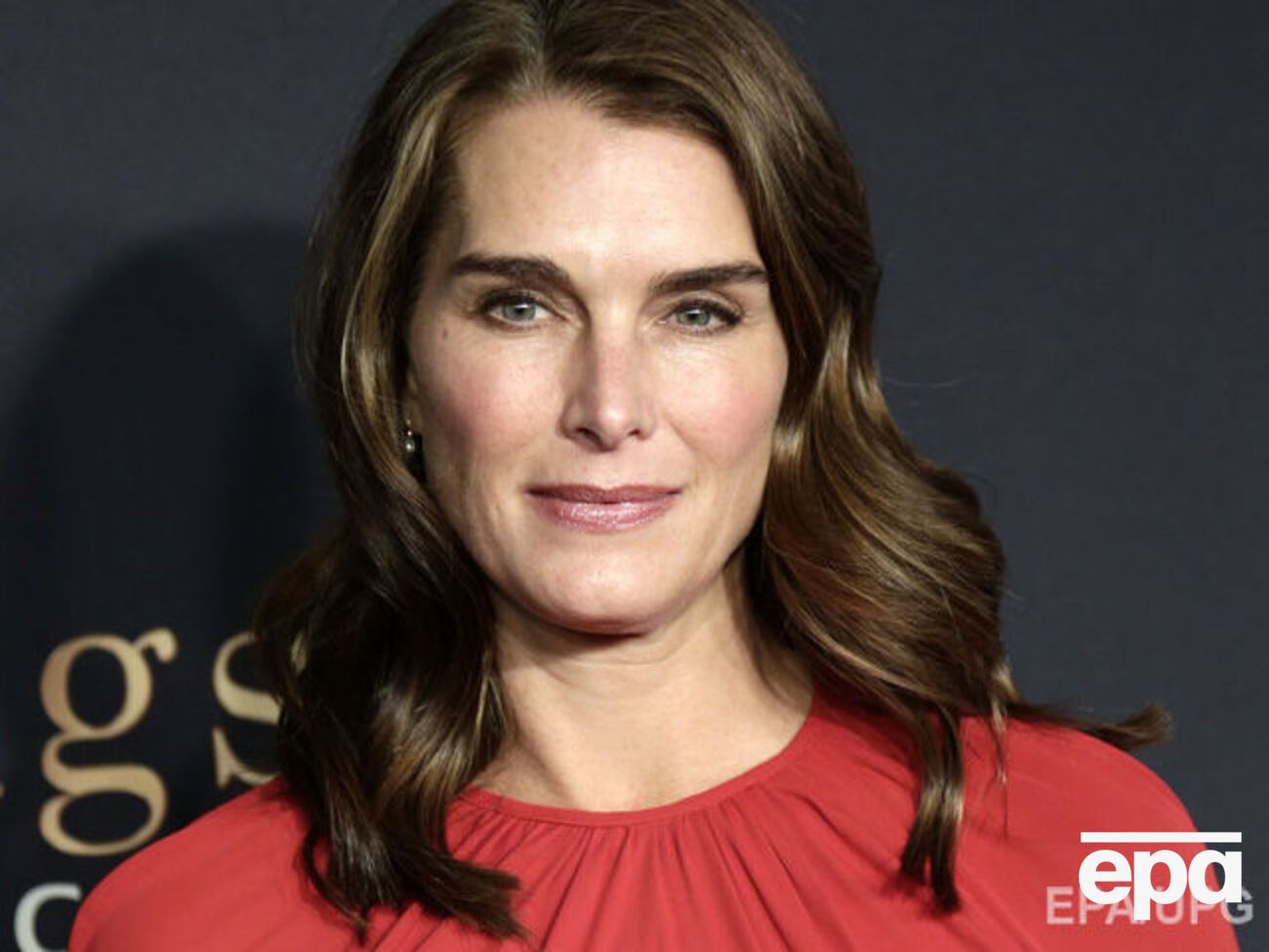 Шилдс не захотела встречаться с Трампом