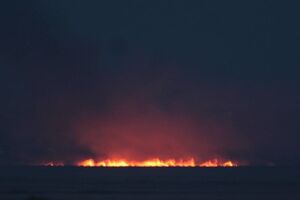 Русев подозревает умышленный поджог