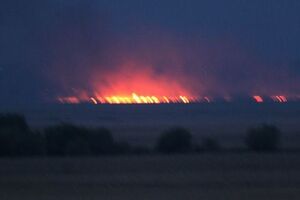 В парке горели плавни