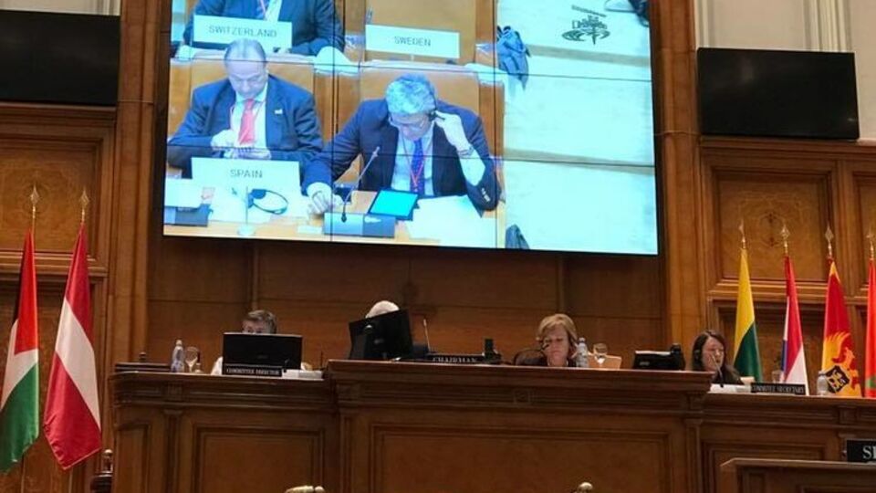 Фріз стверджує, що іспанці пов'язали референдум із Росією