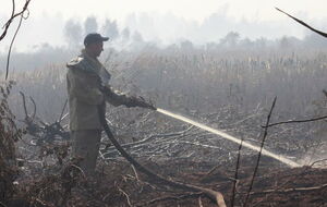 Пожежу в Черкаській області продовжують гасити