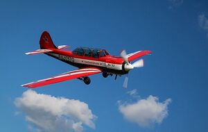 В РФ упал легкомоторный самолет