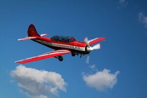 В РФ упал легкомоторный самолет