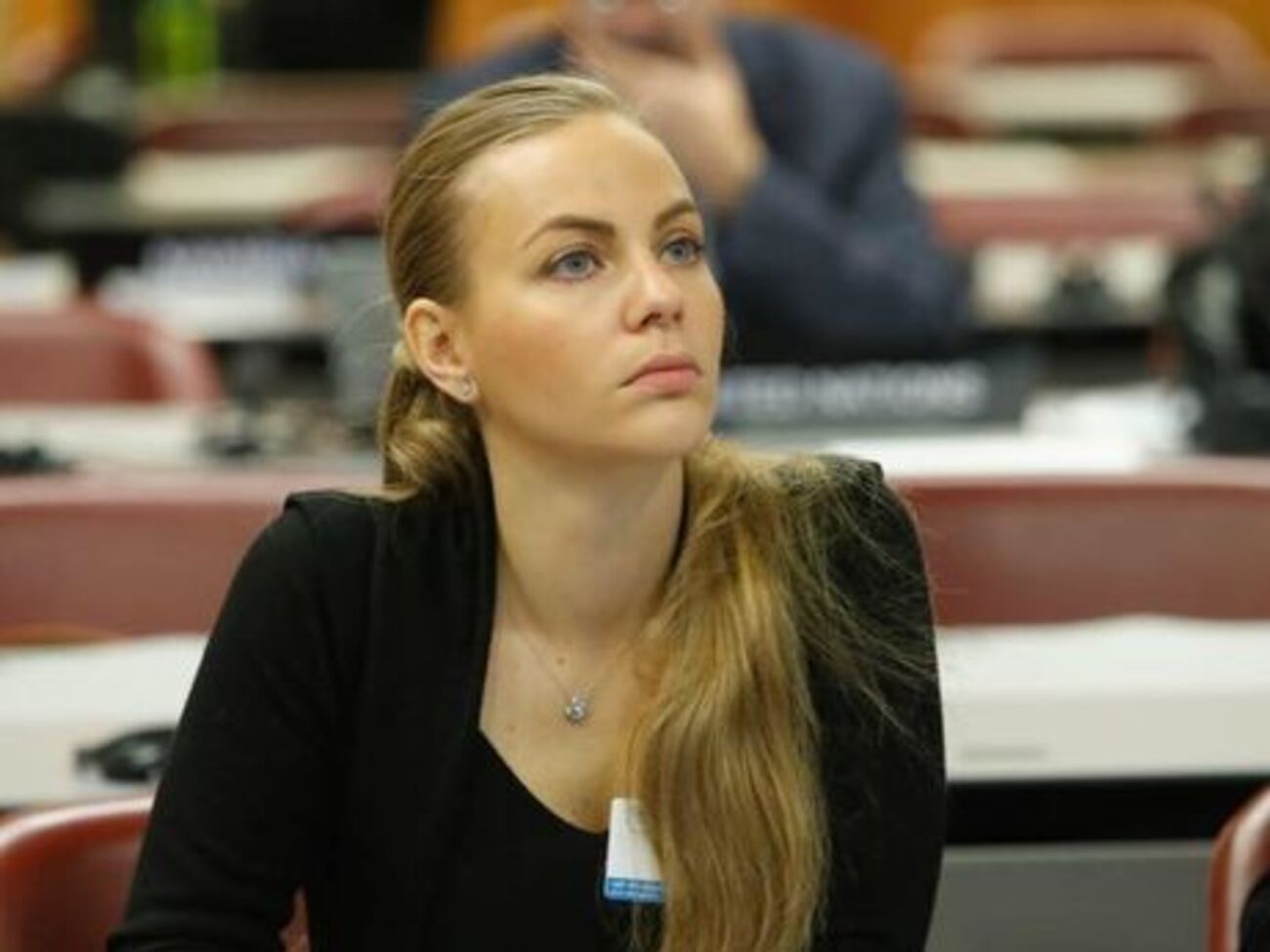 Сотник очолила юридичний комітет ПАРЄ