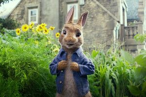 Главный герой – кролик Питер, живущий среди людей