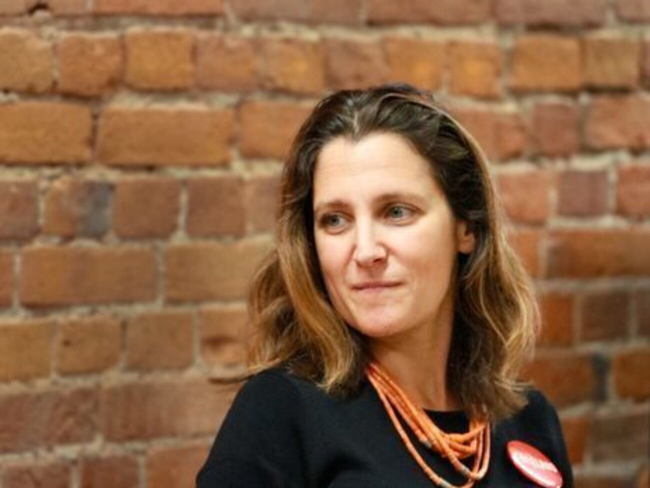 Фриланд заявила, что обсудила возможный ввод миротворцев на Донбасс с рядом мировых политиков