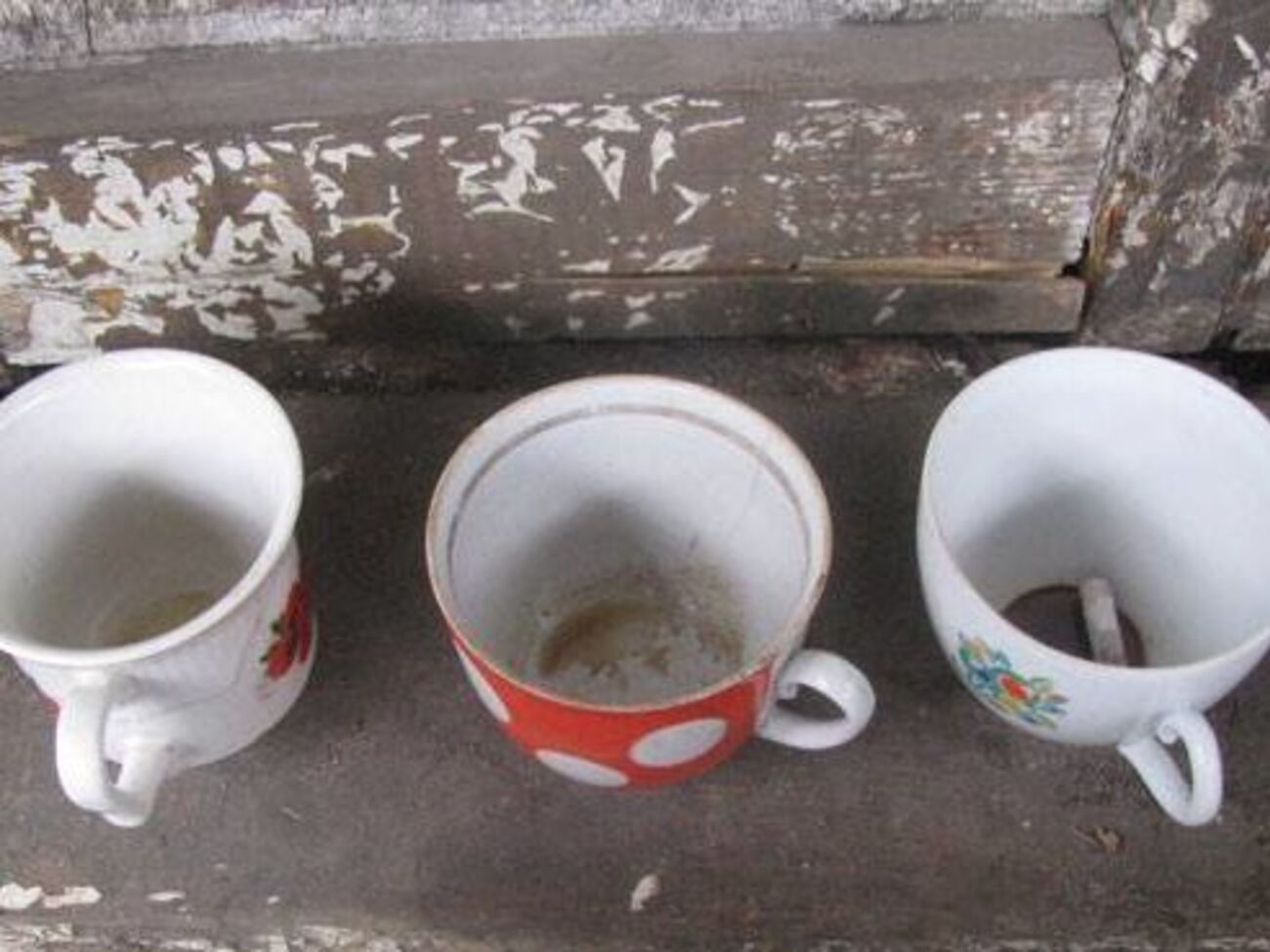 Жертвами отруєння стали дві жінки й чоловік