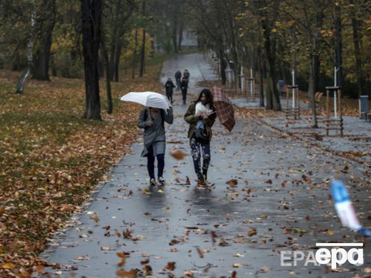 13 ноября в Украине пройдут дожди и усилится ветер