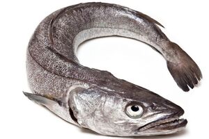 Россиян крайне заинтересовал хек