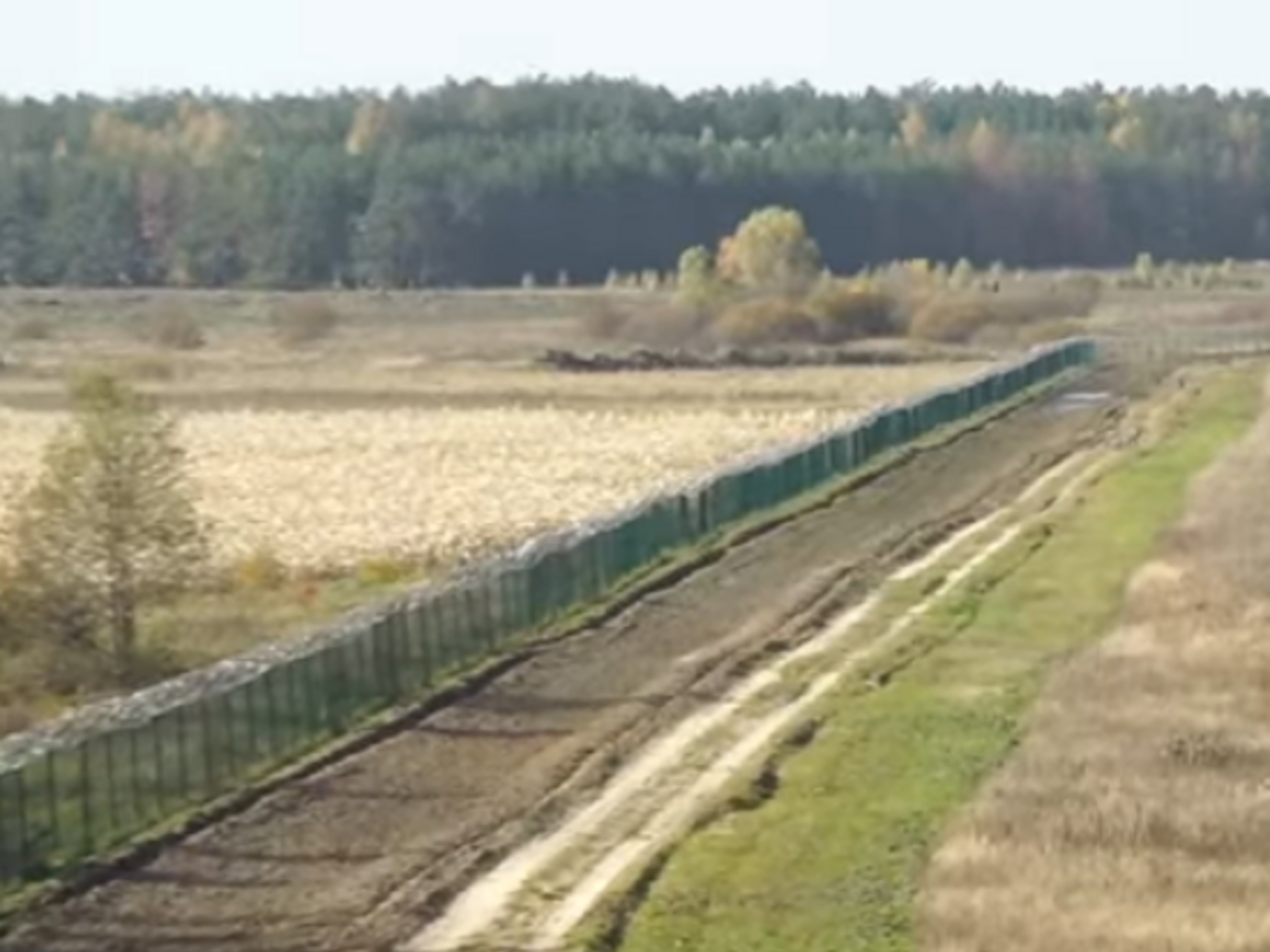 Будівництво "Стіни" стартувало восени 2014 року