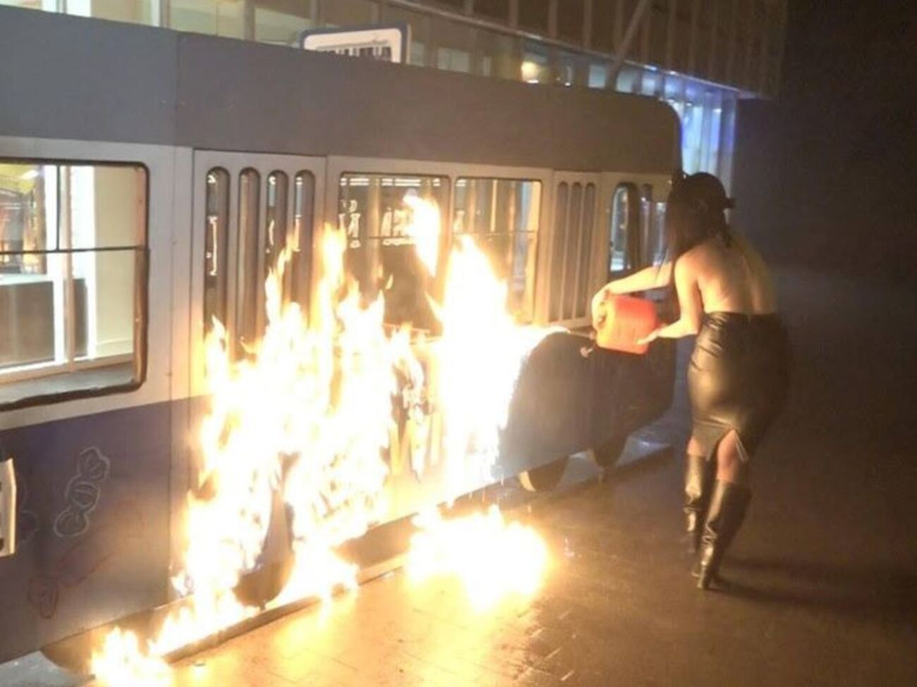 Активістці загрожує покарання у вигляді позбавлення волі на строк від трьох до семи років