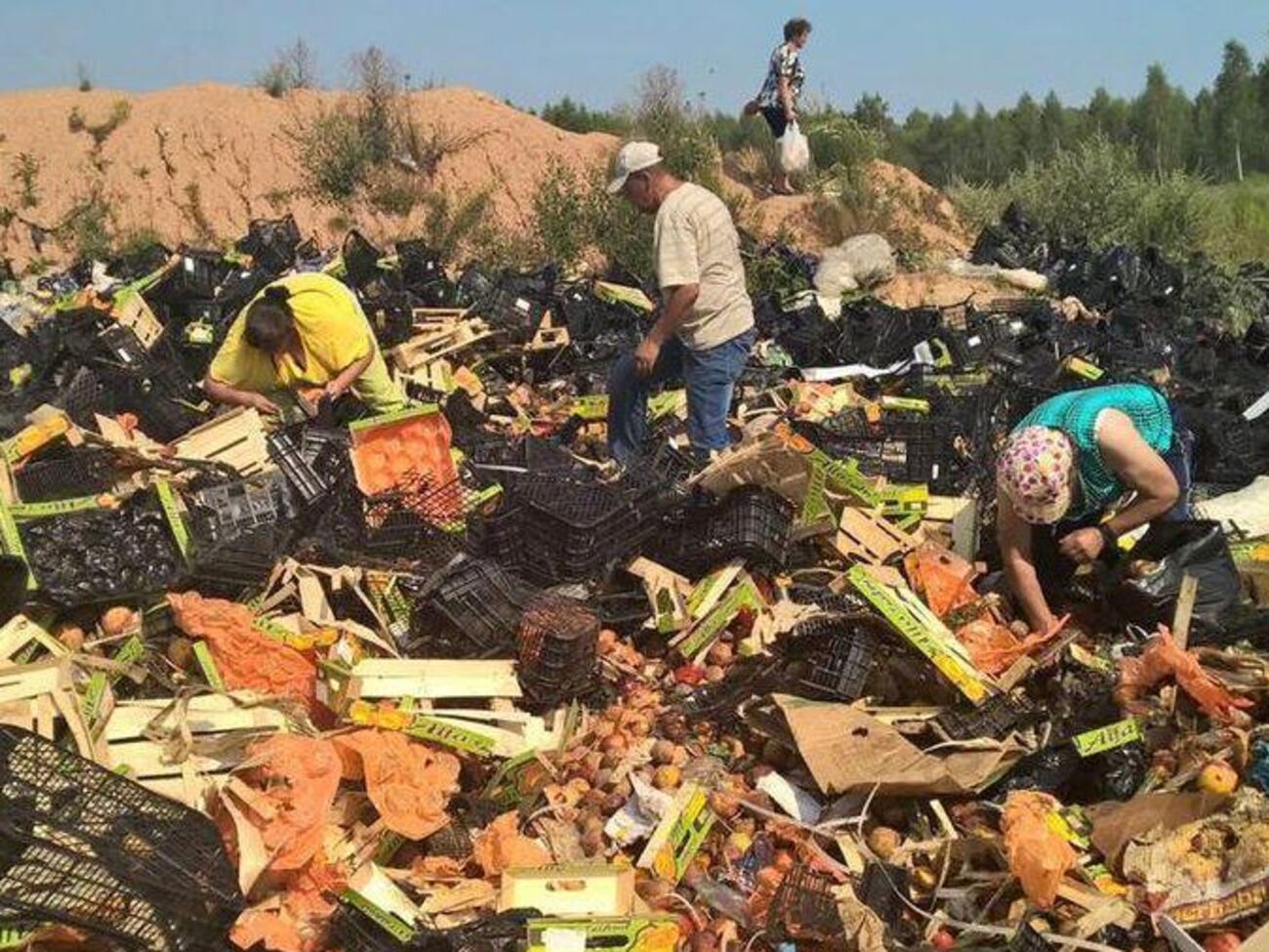 Минфин РФ намерен ввести уголовную ответственность за ввоз "санкционки"