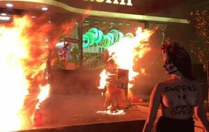 Виноградова сожгла фигуры медведей возле магазина Roshen