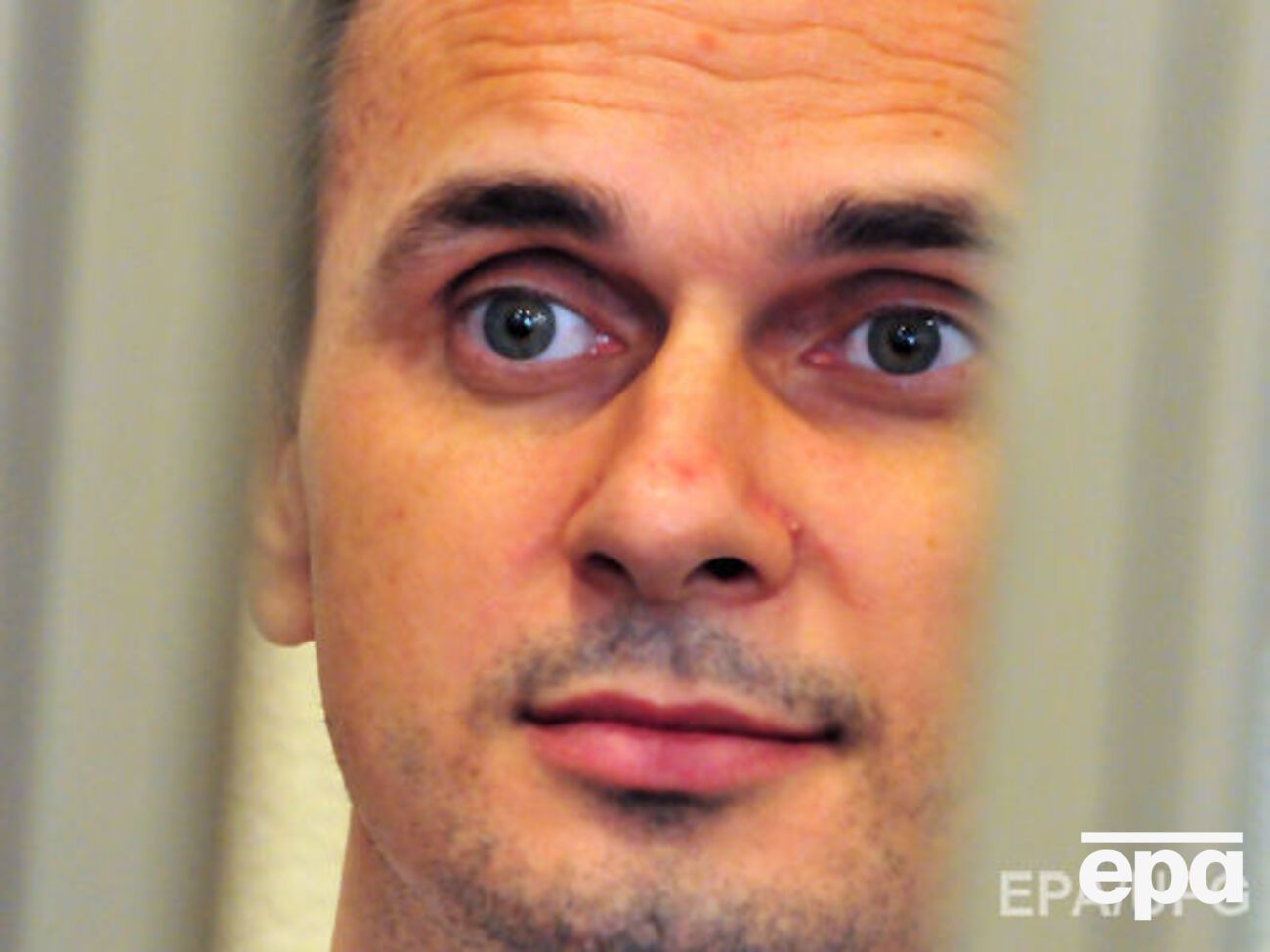 Картина Курова о Сенцове получила награду фестиваля в Венгрии