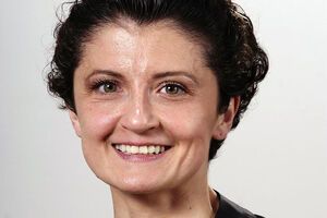 Цулукиани: Наша страна открыта для всех граждан Грузии