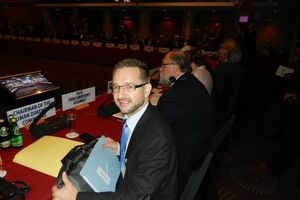 Гремингер: Есть различные предложения по поводу миротворческой миссии ООН