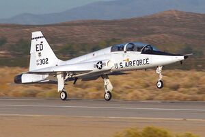 Один из пилотов самолета погиб