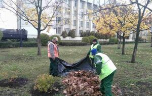 Вместо коммерческих структур, с которыми подписали договоры, работы выполняли коммунальщики