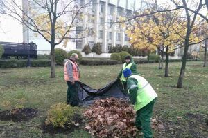Замість комерційних структур, з якими уклали договори, роботи виконували комунальники