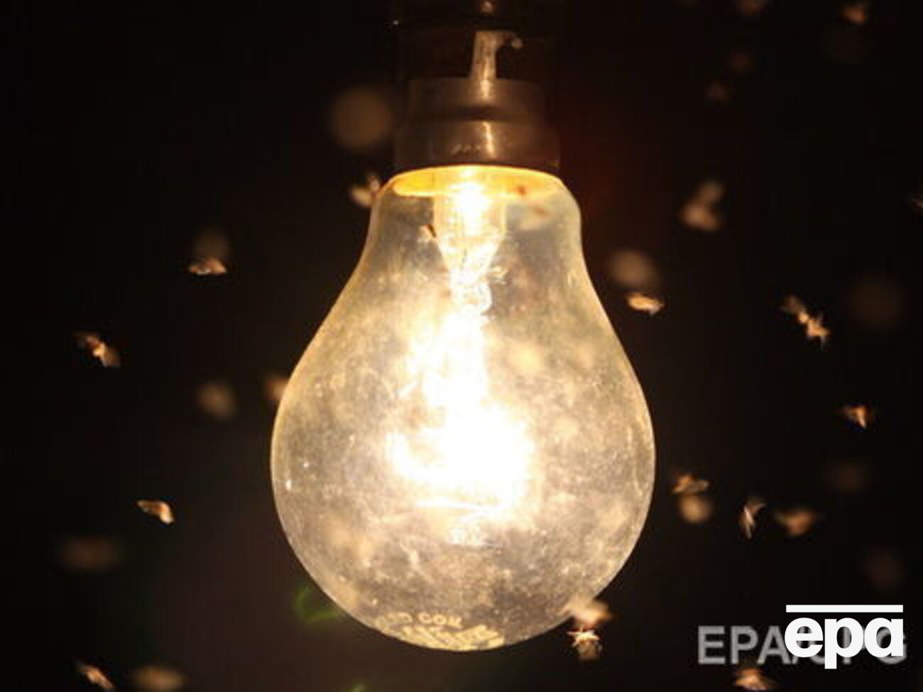 ЛЕО: Коли почнеться справжня зима, знеструмлення навіть на кілька годин призведе до страшних наслідків