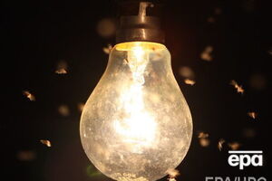 ЛЭО: Когда начнется настоящая зима, обесточивание даже на несколько часов приведет к страшным последствиям