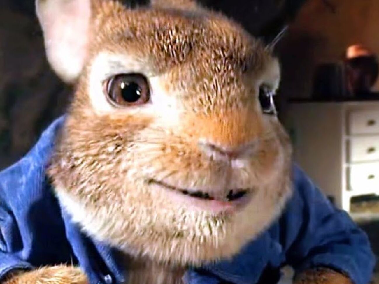 Головний герой фільму &ndash;&nbsp;олюднений кролик