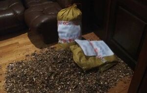 В здании Гослесагентства оставили мешки с неизвестным содержимым