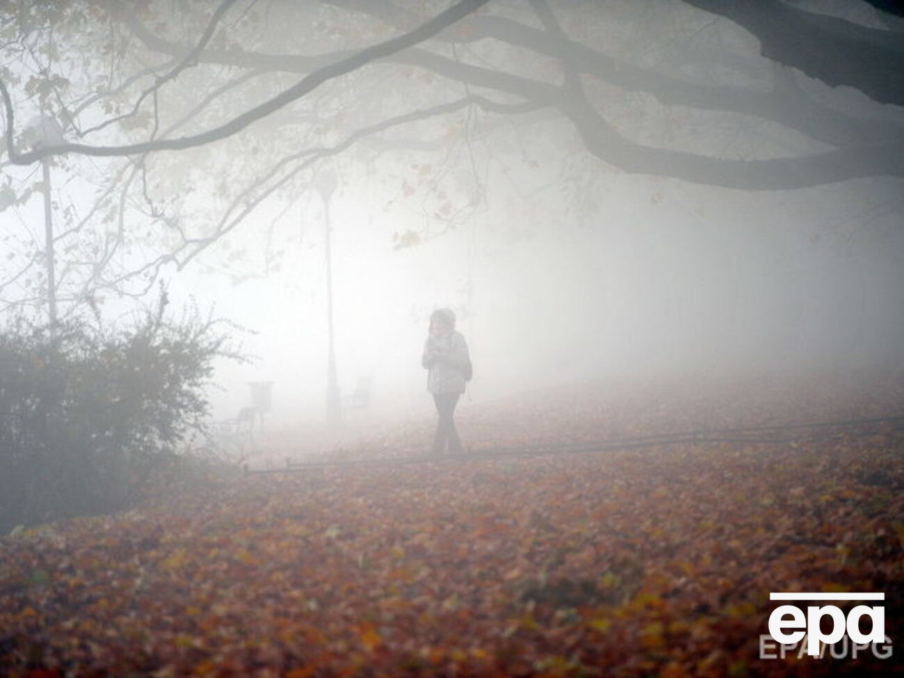 В Киеве ожидается туман