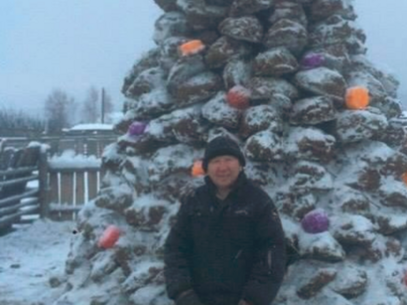 В Якутии вылепили елку из навоза