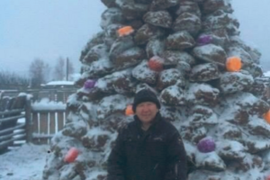 У Якутії виліпили ялинку із гною