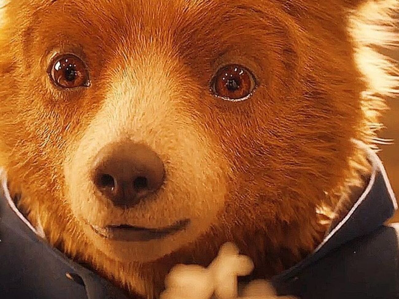 Головний герой фільму – Паддінгтон – ведмежа, що живе серед людей