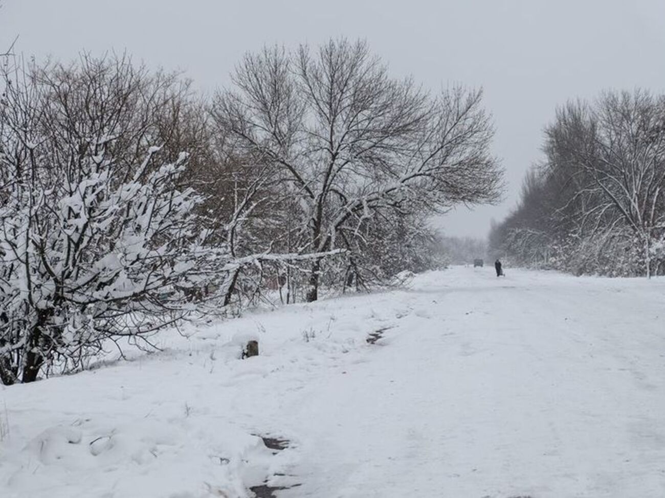 О возвращении Гладосово под контроль Украины стало известно 24 ноября