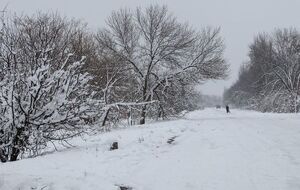 О возвращении Гладосово под контроль Украины стало известно 24 ноября