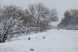 О возвращении Гладосово под контроль Украины стало известно 24 ноября
