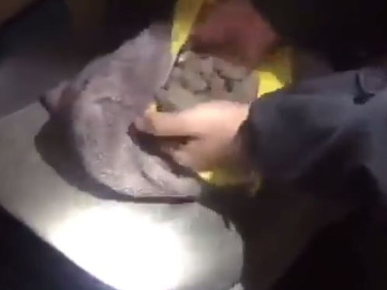 Під час огляду автомобіля прикордонники знайшли подушку з бурштином