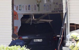 Жертвами инцидента стали двое детей