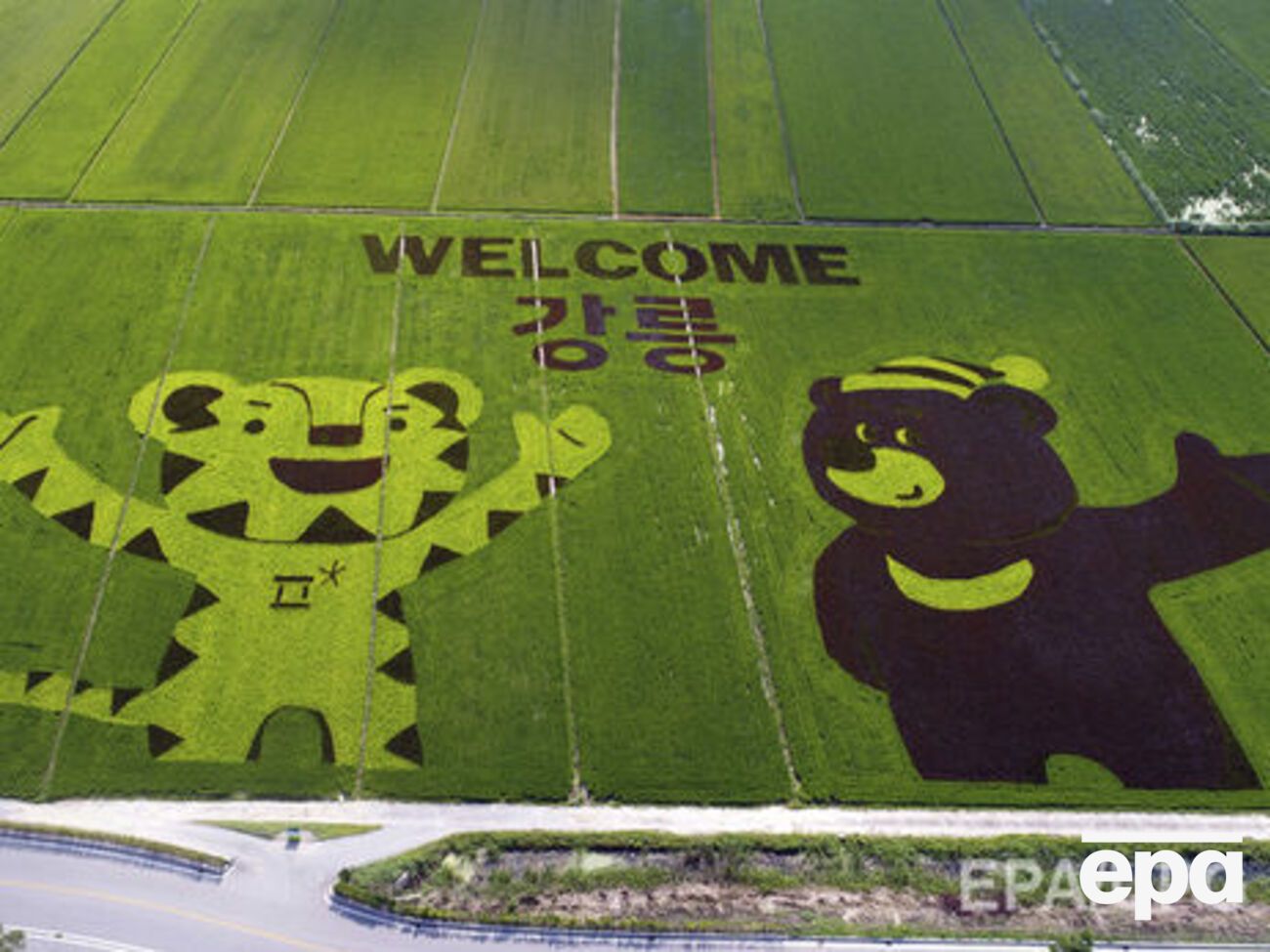 В МОК еще не приняли решение по поводу исполнения российского гимна на открытии Олимпиады в 2018 году