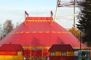 Автори документа стверджують, що у цирках-шапіто тварин б'ють і не годують