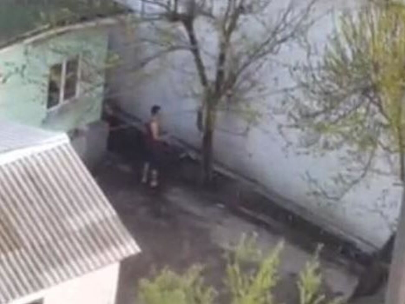 Кияниця прив'язував кота до дерева шлангом і бив його