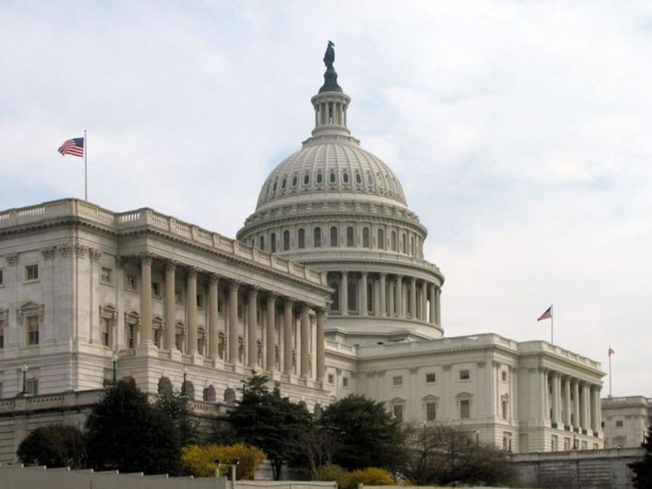 Инициативу должен одобрить Конгресс США