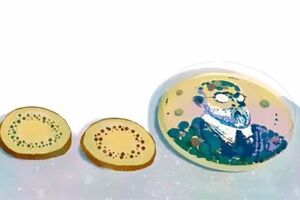 На дудлі Google зображено кружечки картоплі, на один із яких нанесено портрет Коха