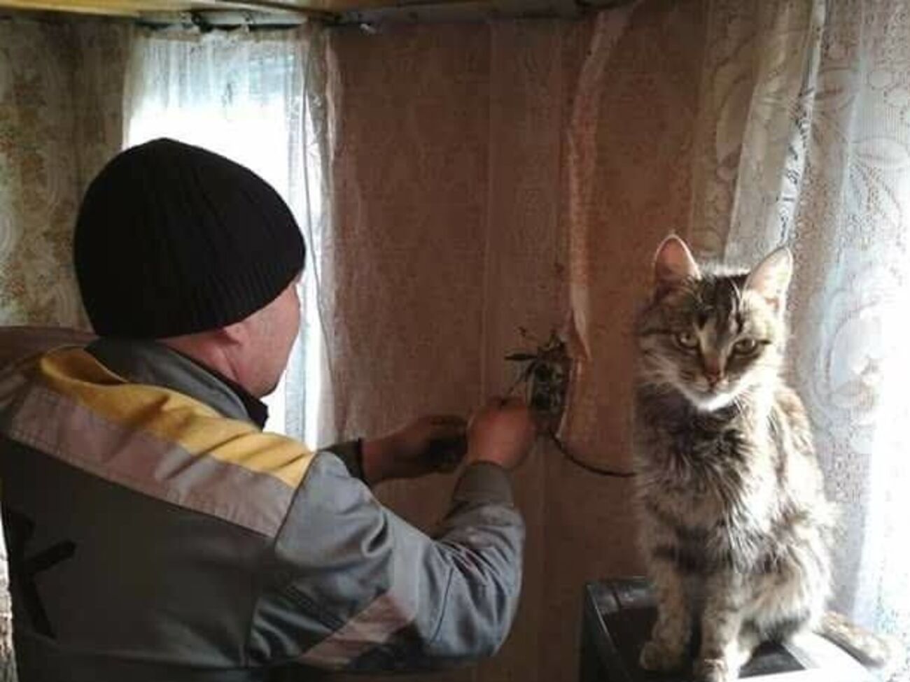 У Травневому відновили подання електрики