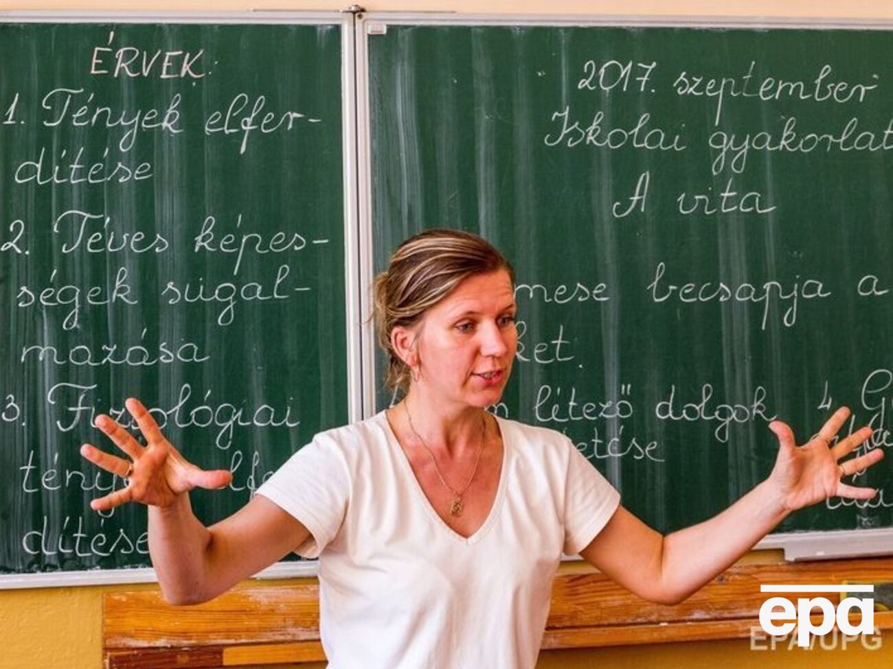В венгерских и румынских школах процесс перехода на преподавание предметов на украинском будет постепенным, утверждают в МОН