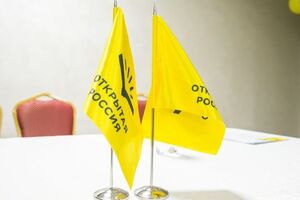 "Открытую Россию" заблокировали