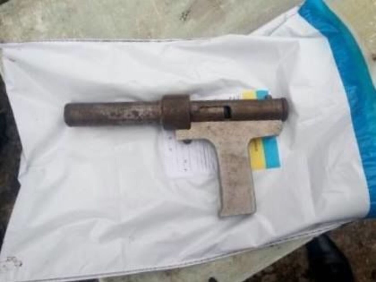 Хлопчик застрелив дворічну сестру
