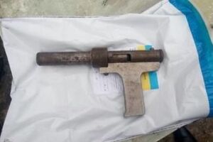 Мальчик застрелил двухлетнюю сестру