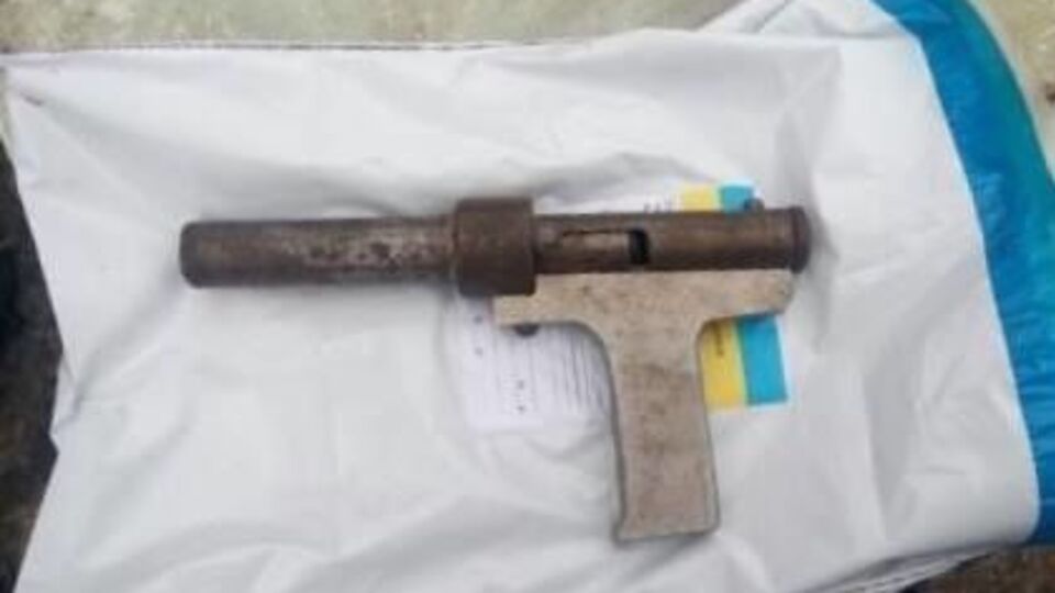 Хлопчик застрелив дворічну сестру