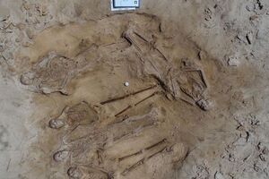 Ученые считают, что люди, чьи останки они нашли, не были жертвами массовых убийств