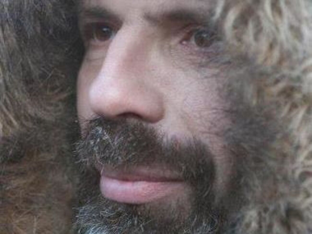 Путин сравнил Навального с Саакашвили как успешного реформатора или как человека, который борется с "фашистской хунтой"?