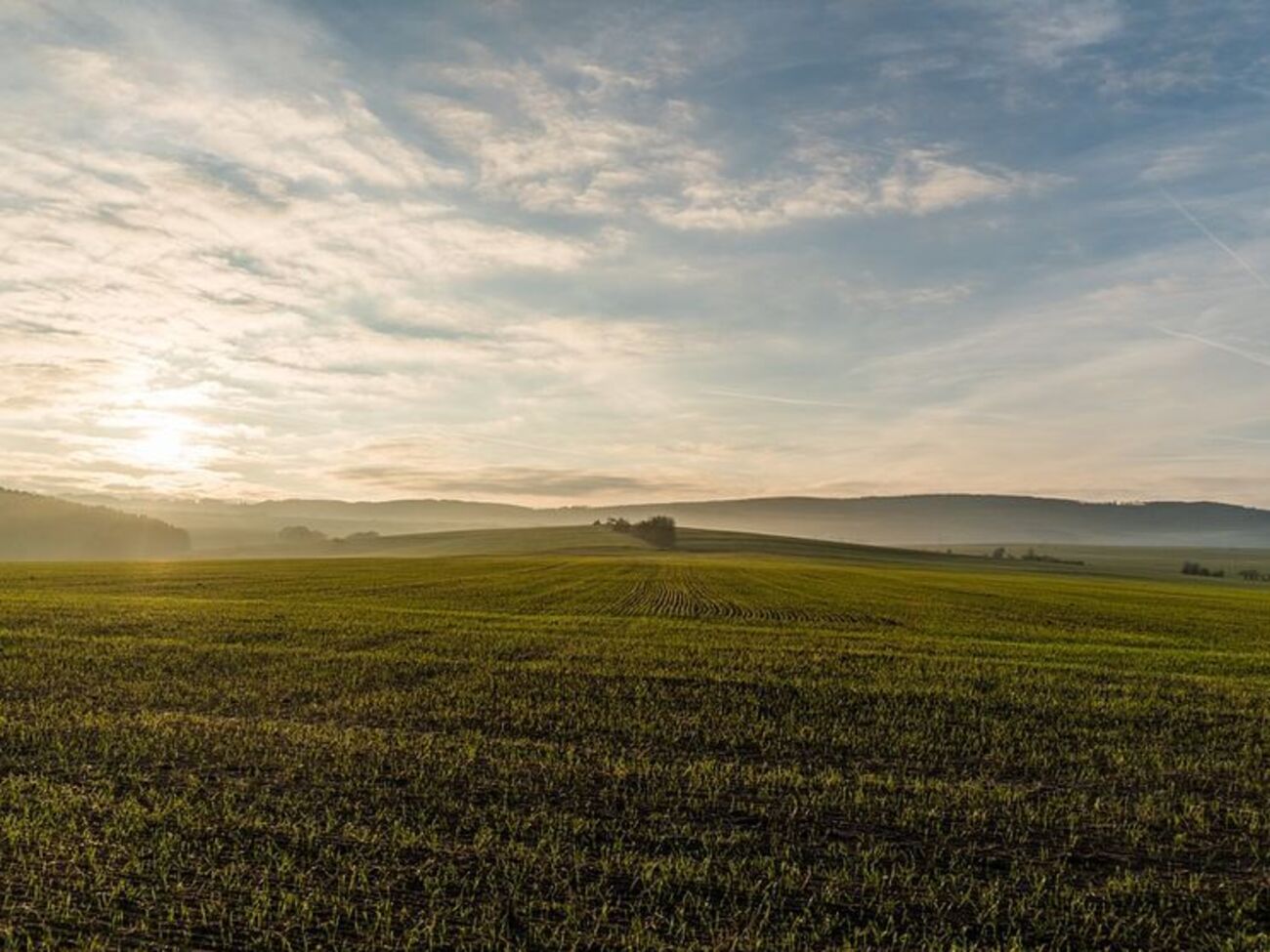Президент України Петро Порошенко подав законопроект до парламенту 6 грудня